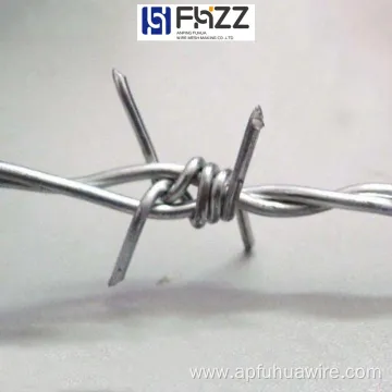 Double-Strand Twisted Galvanized Steel Barbed Wire